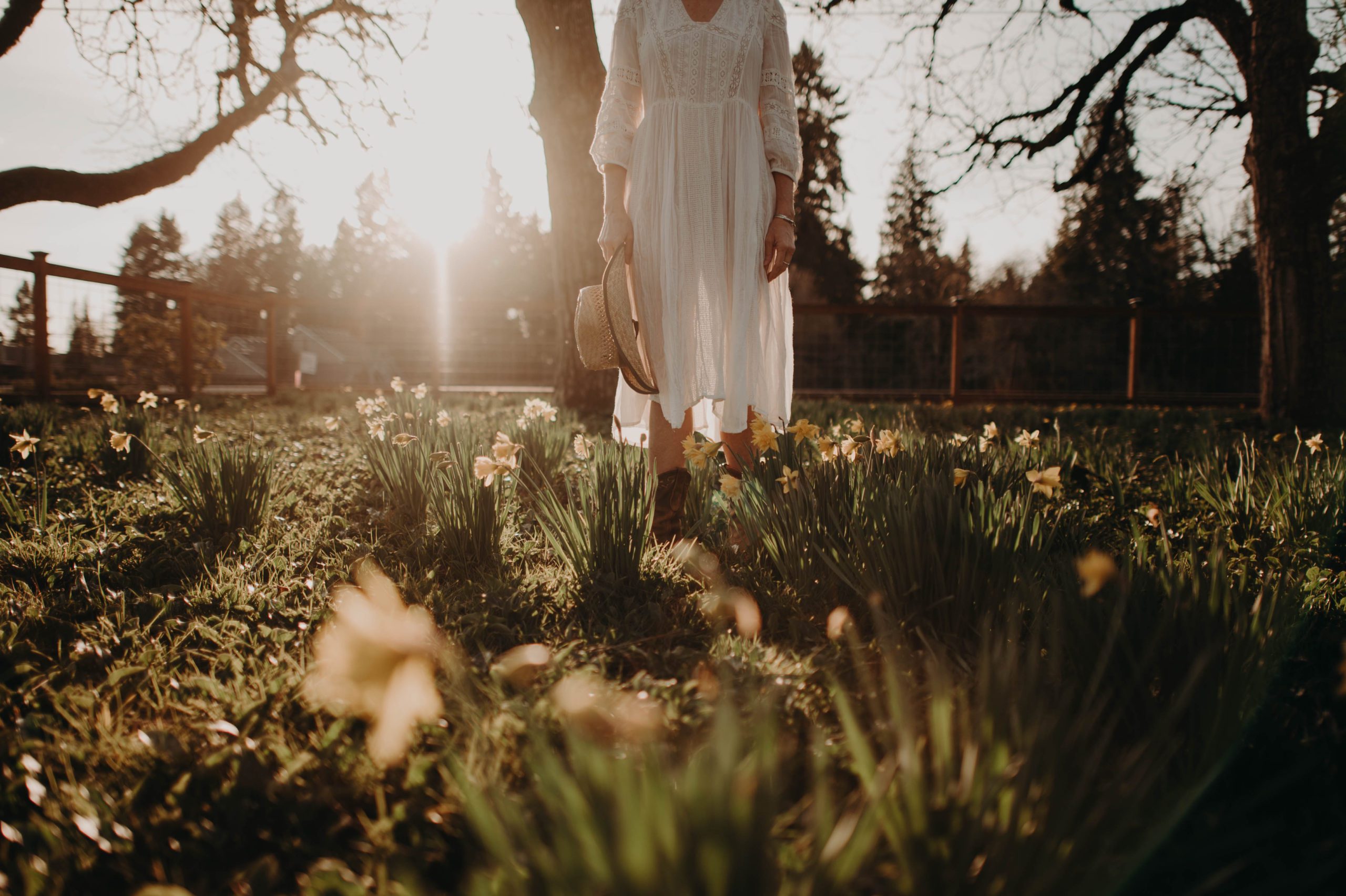 woman in daffodil field