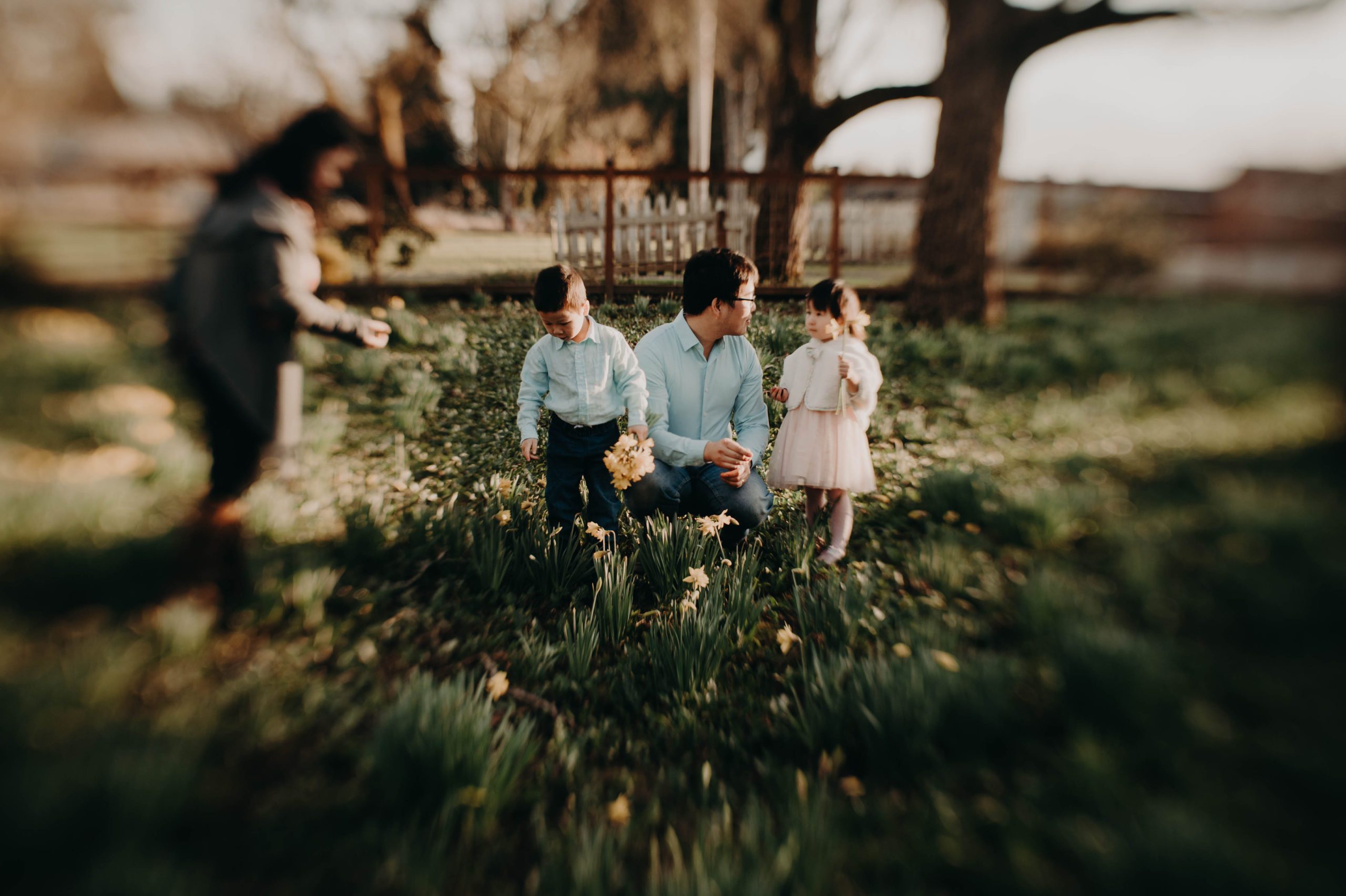 family in the daffodils