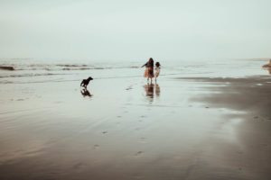 Mom and daughter and puppy running on the beach