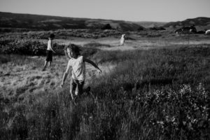 Three kids playing in flower fields