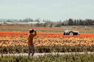 Boy walking toward tractor in tulip field