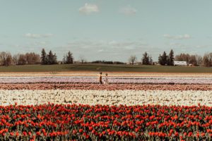 Little boy and girl in field of tulips