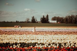 Little girl running through tulip field