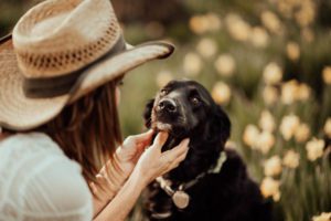 Woman holding black lab face in her hands
