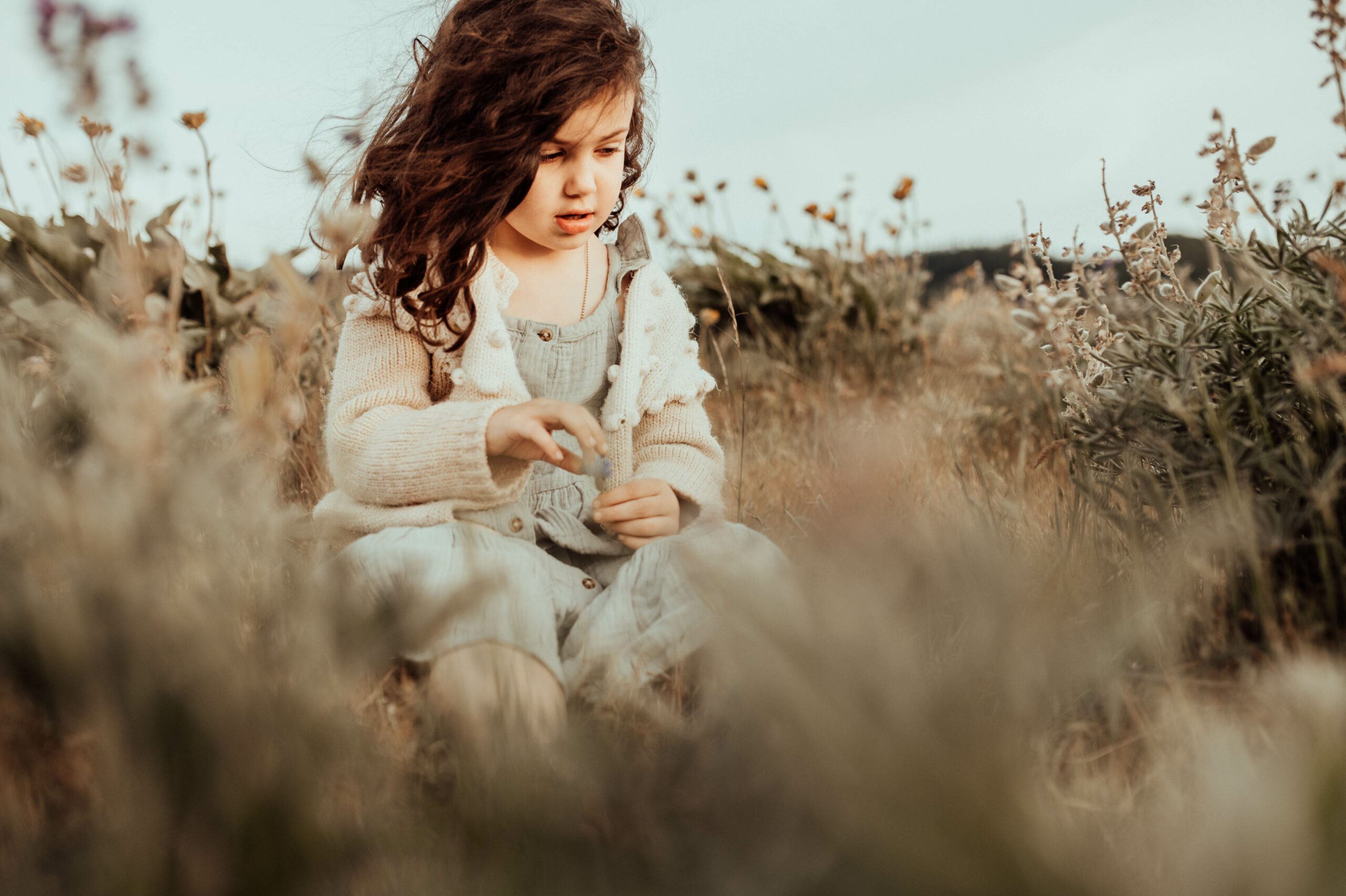 Small girl in wildflower field